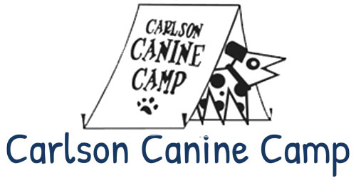 Carlson Canine Camp