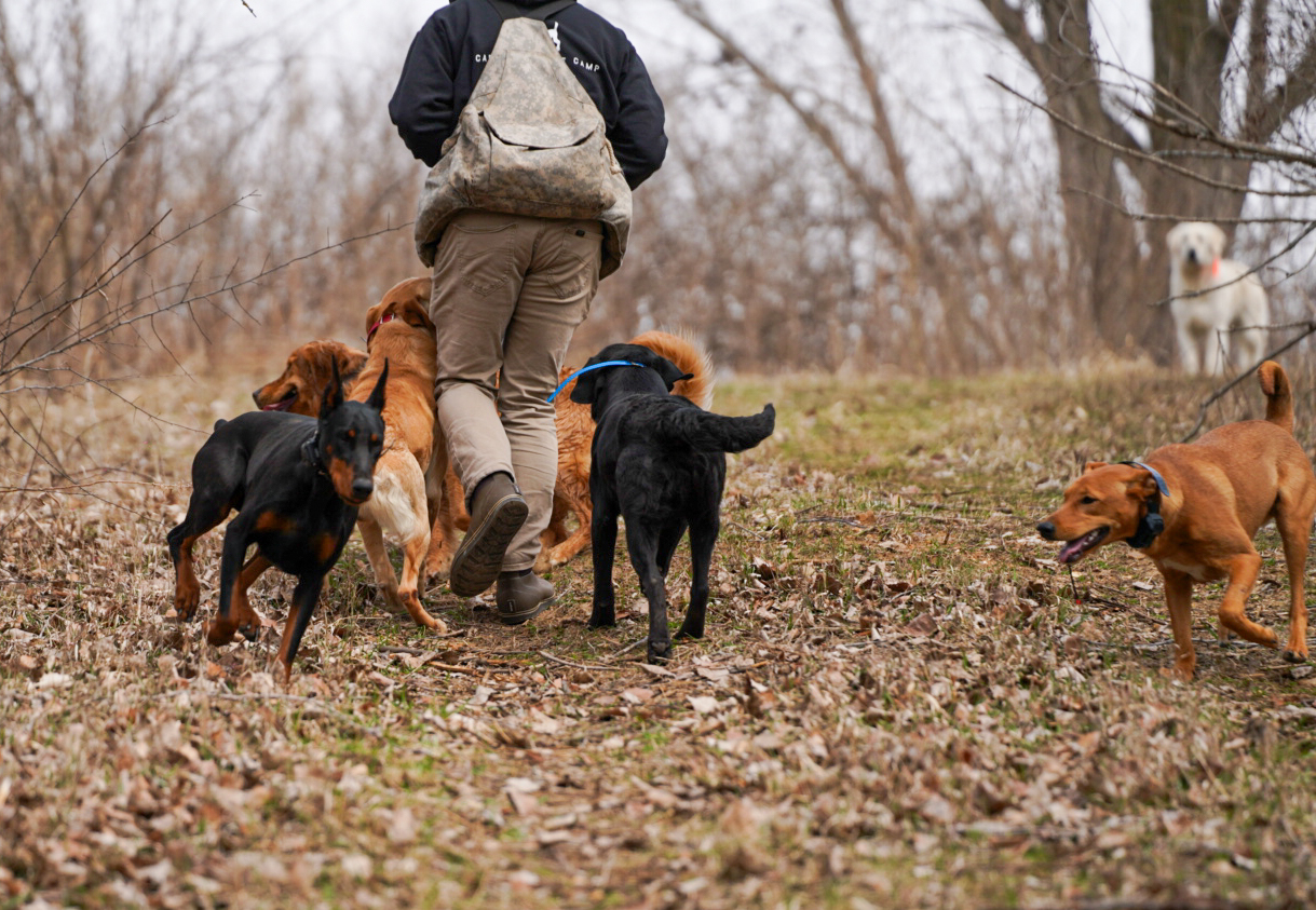 2–3 Hours of Adventure