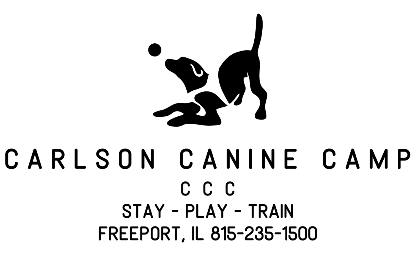 Carlson Canine Camp